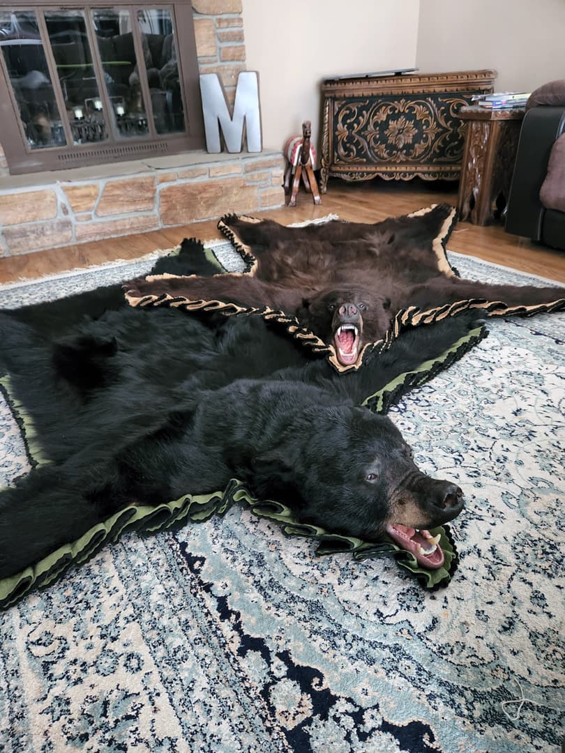 Black bear rug with an open-mouth head mount, laid over a patterned area rug